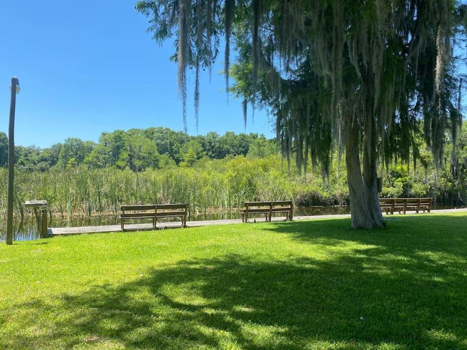 Professor Rousseau'S Manatee Bay Apartment Crystal River Bagian luar foto
