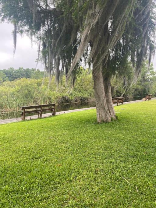 Professor Rousseau'S Manatee Bay Apartment Crystal River Bagian luar foto