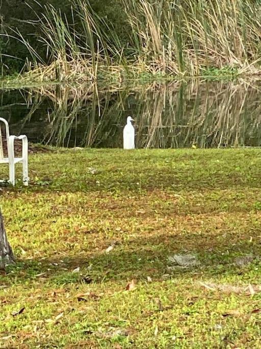 Professor Rousseau'S Manatee Bay Apartment Crystal River Bagian luar foto