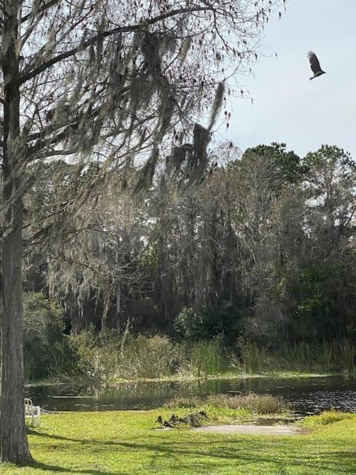 Professor Rousseau'S Manatee Bay Apartment Crystal River Bagian luar foto